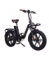 Bicicleta Eléctrica Plegable/Fat ET Cycle F720