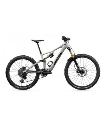 AMFLOW PX CARBON PRO